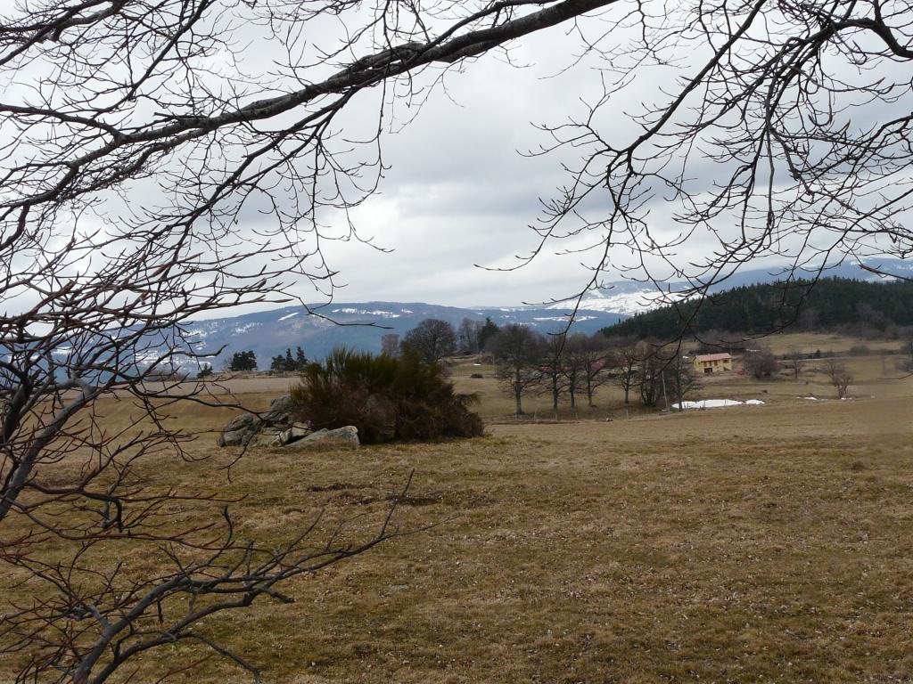 Burdignes, 08-03-09, 12-38.jpg